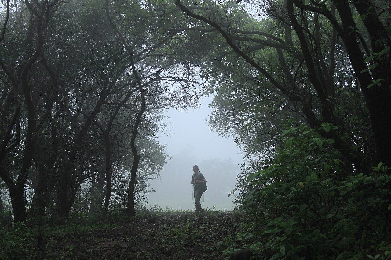 Monsoon rain landscape in Maharashtra, India.